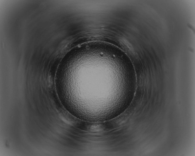 X0000093230173200710031505