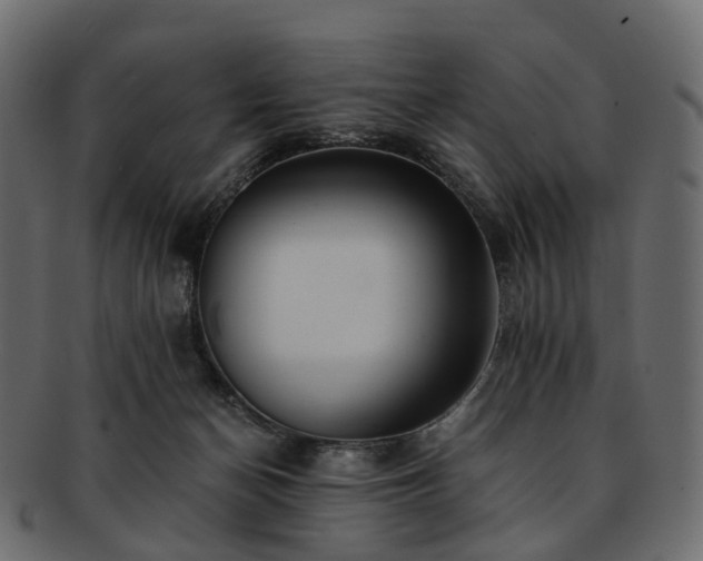 X0000093230174200710031505