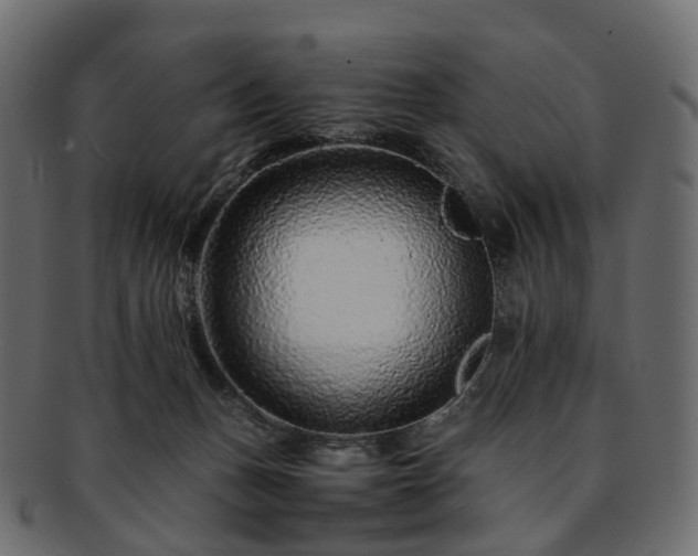 X0000093230175200710031505