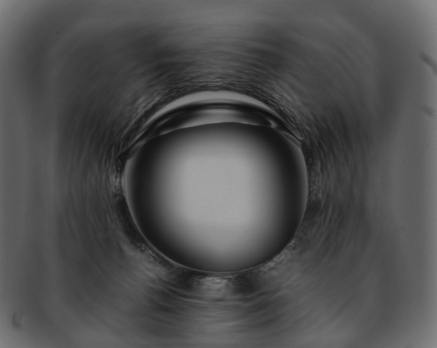 X0000093230176200710031505