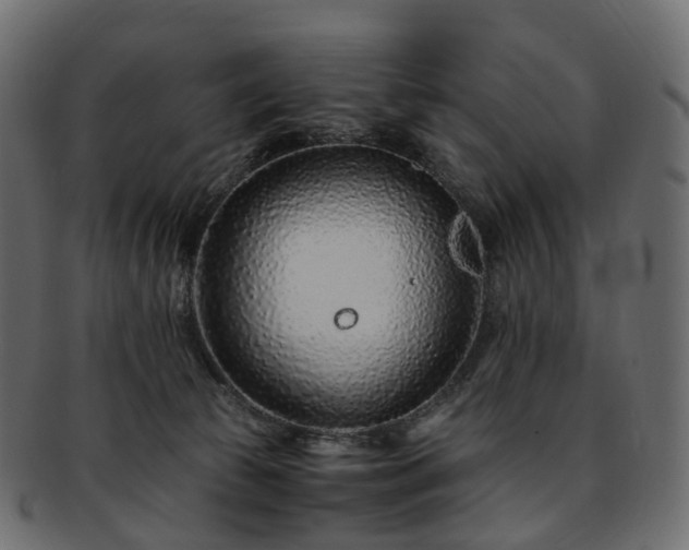 X0000093230177200710031505