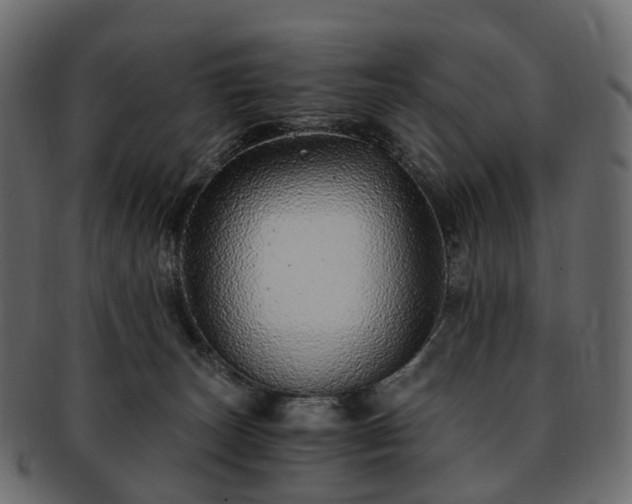 X0000093230179200710031505