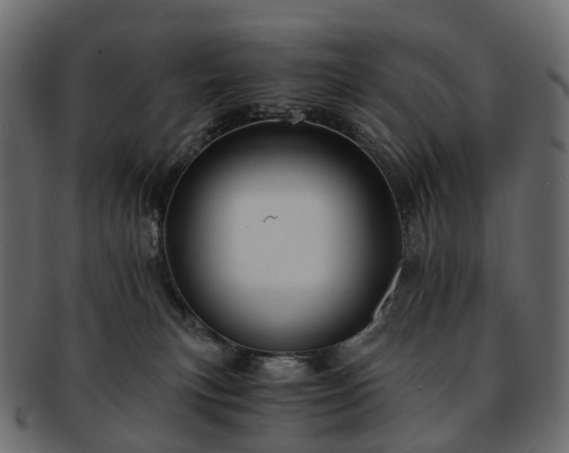 X0000093230183200710031505