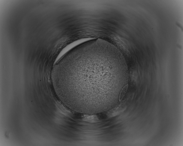 X0000093230185200710031505