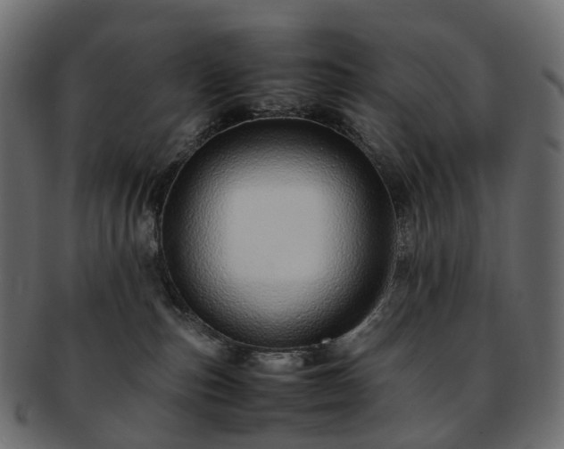 X0000093230187200710031505