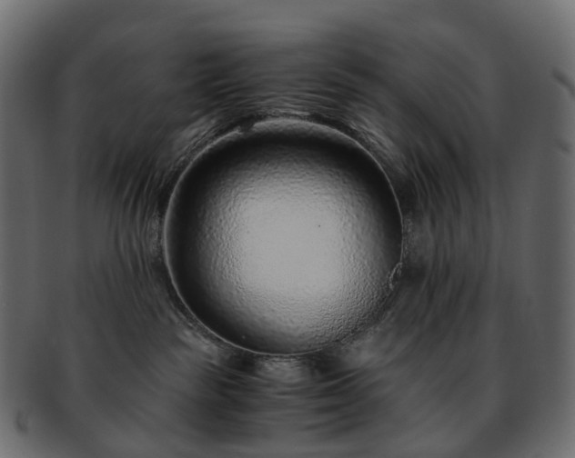 X0000093230189200710031505