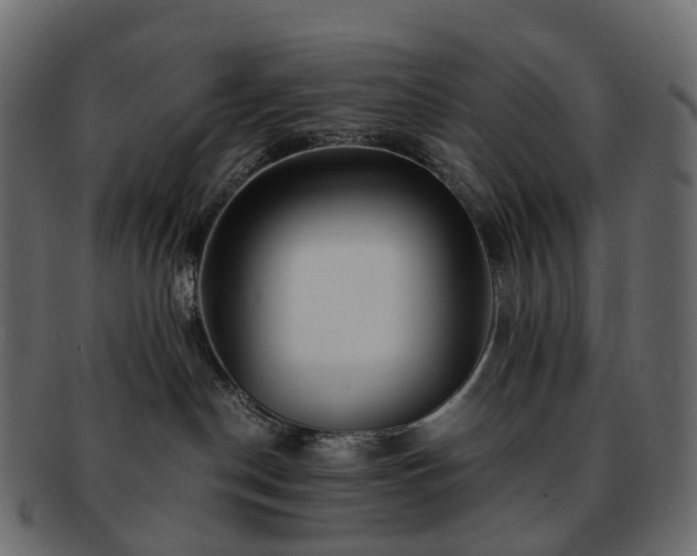 X0000093230190200710031505