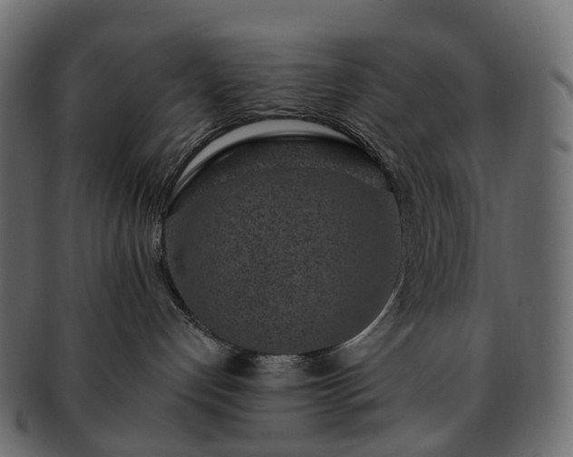 X0000093230192200710031505