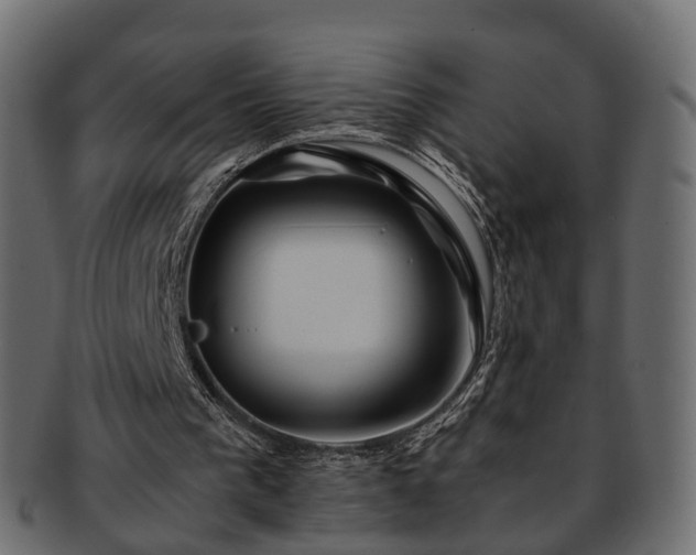 X0000093230193200710031505