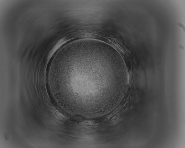 X0000093230195200710031505