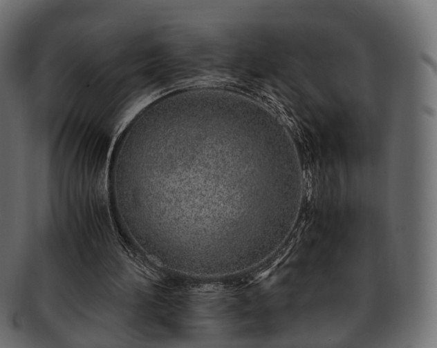 X0000093230196200710031505