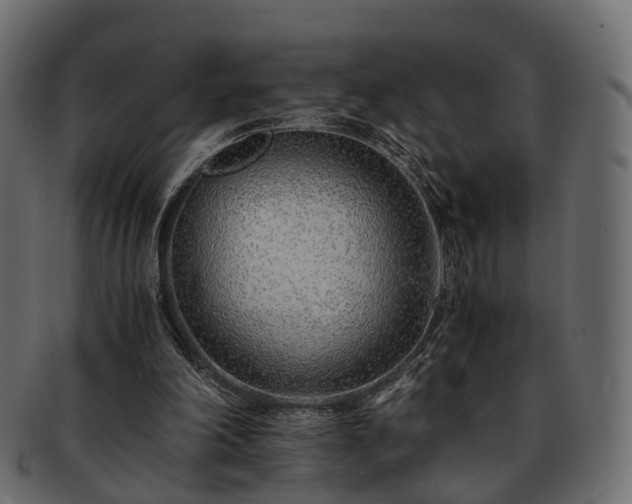 X0000093230198200710031505