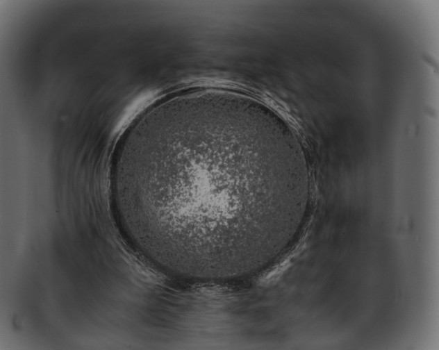X0000093230199200710031505
