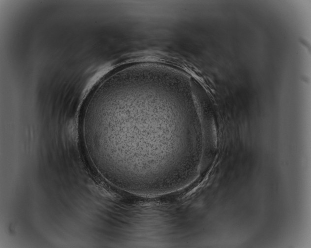 X0000093230200200710031505