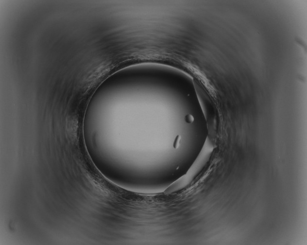 X0000093230201200710031505