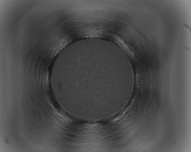 X0000093230202200710031505