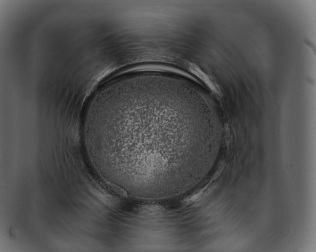 X0000093230203200710031505