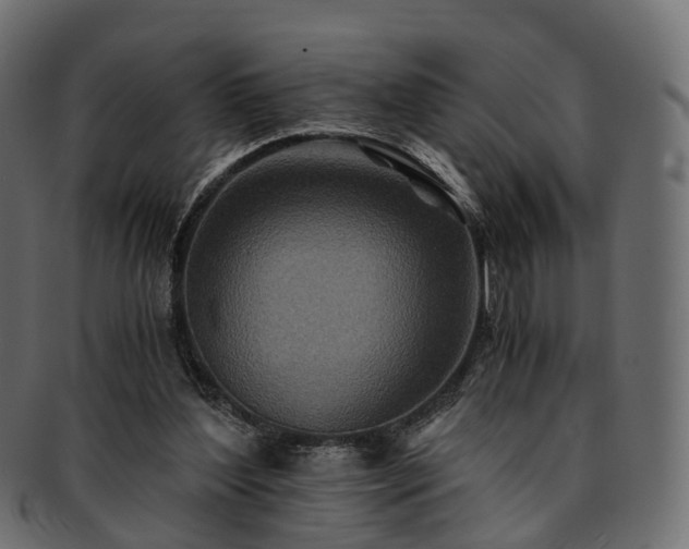 X0000093230204200710031505