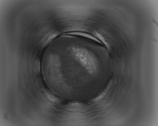 X0000093230205200710031505