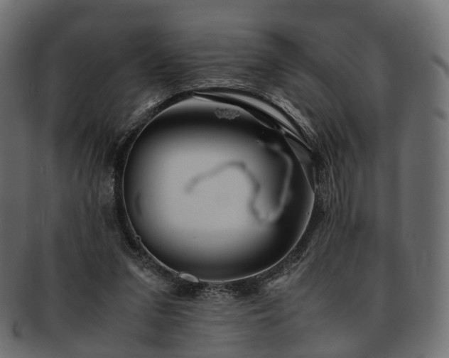 X0000093230207200710031505