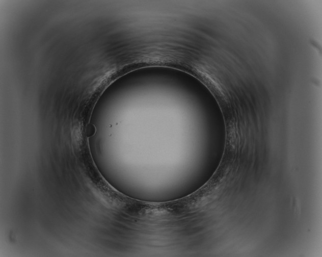 X0000093230208200710031505