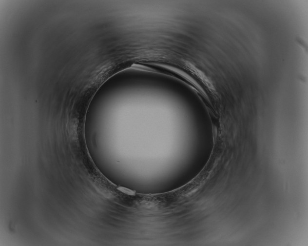 X0000093230209200710031505