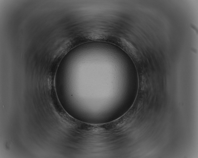 X0000093230210200710031505