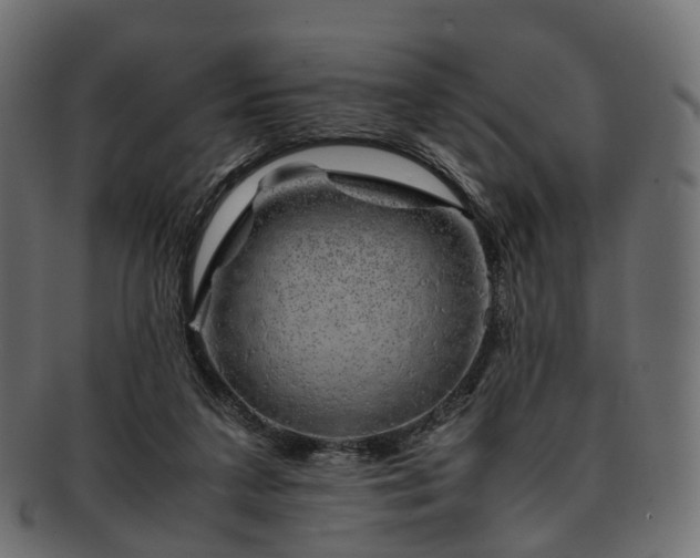 X0000093230211200710031505