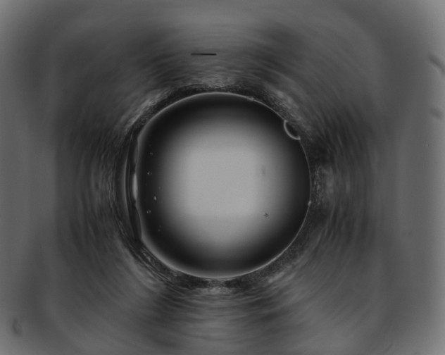 X0000093230212200710031505