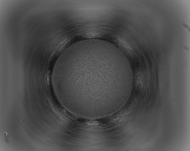 X0000093230214200710031505