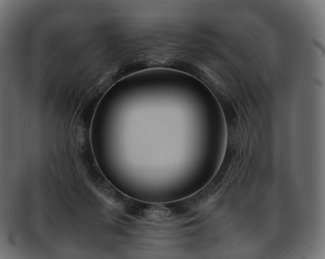 X0000093230215200710031505