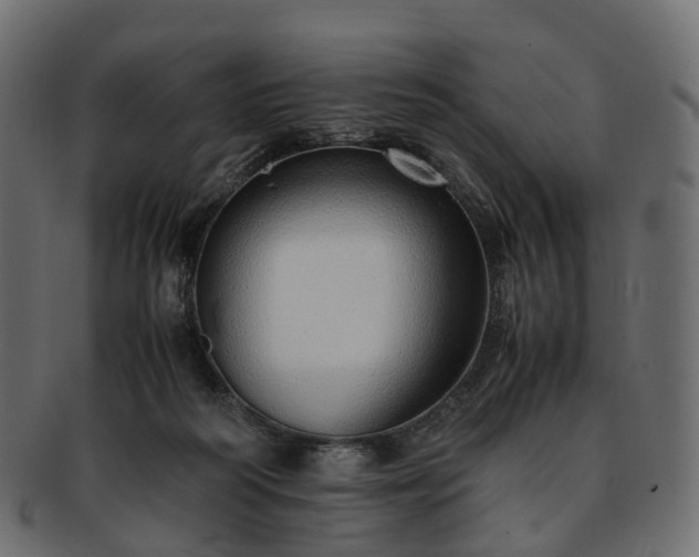 X0000093230218200710031505