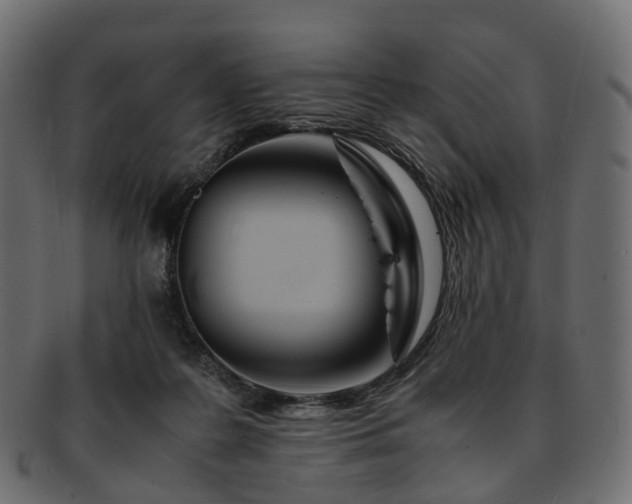 X0000093230219200710031505