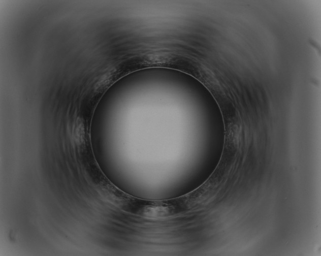 X0000093230220200710031505