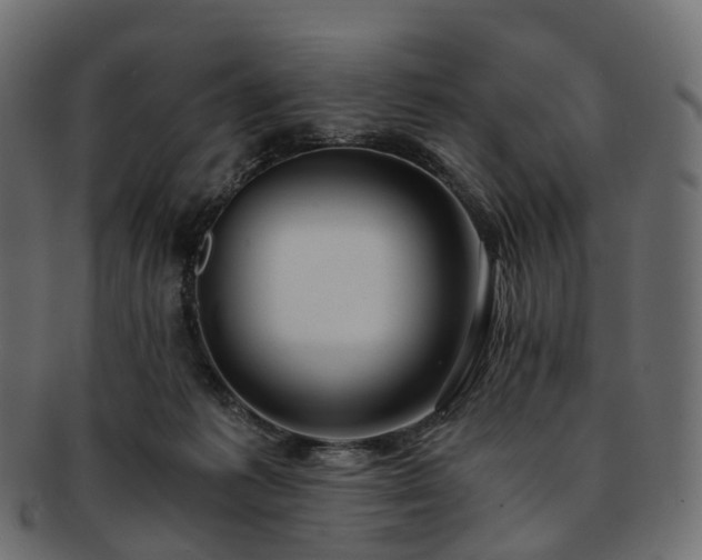 X0000093230221200710031505