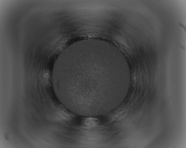 X0000093230222200710031505