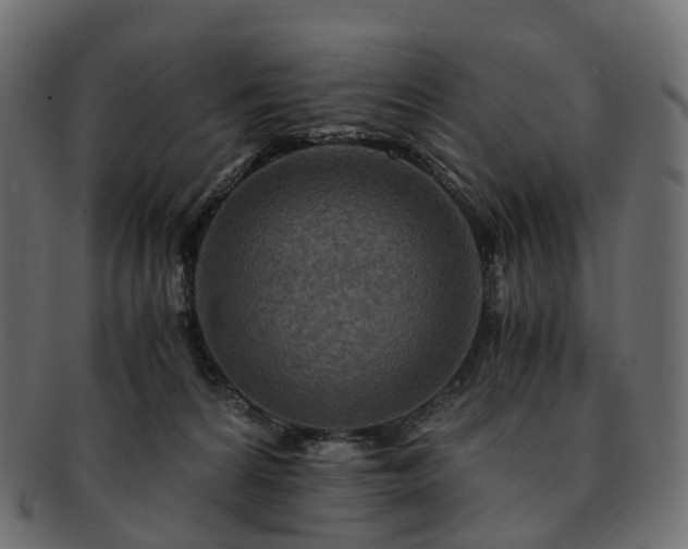 X0000093230224200710031505