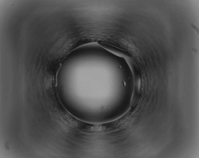 X0000093230225200710031504