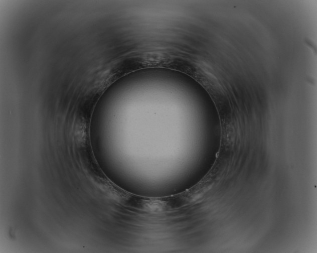 X0000093230226200710031504