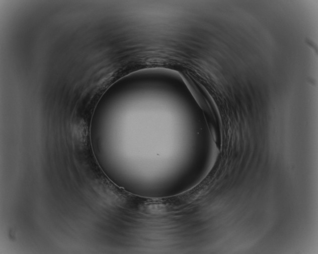 X0000093230228200710031504