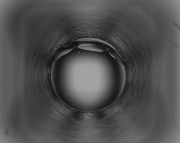 X0000093230229200710031504