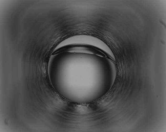 X0000093230232200710031504