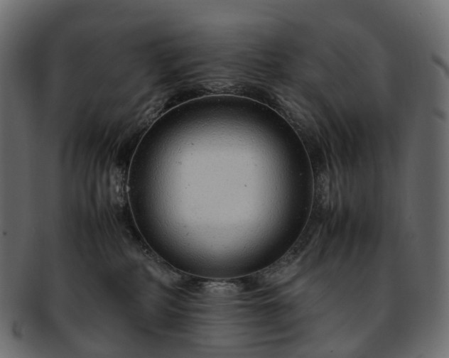 X0000093230234200710031504