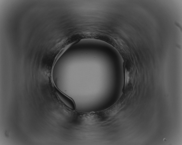 X0000093230235200710031504