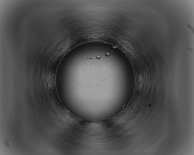 X0000093230236200710031504