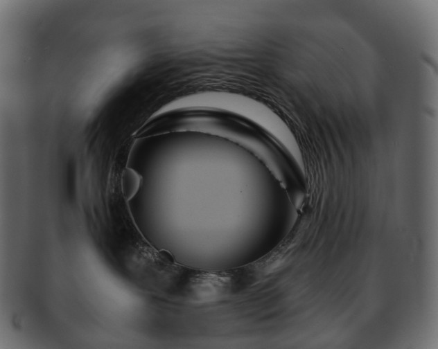 X0000093230239200710031504