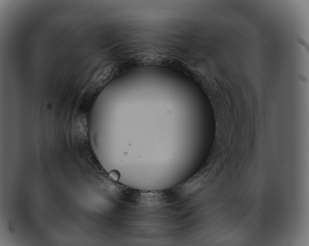 X0000093230240200710031504