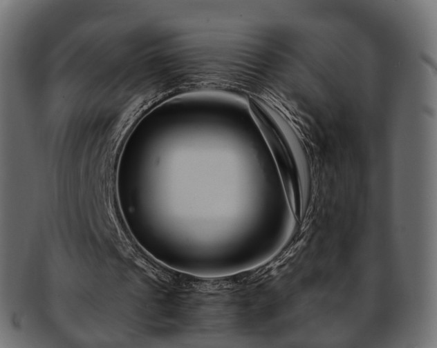 X0000093230241200710031504