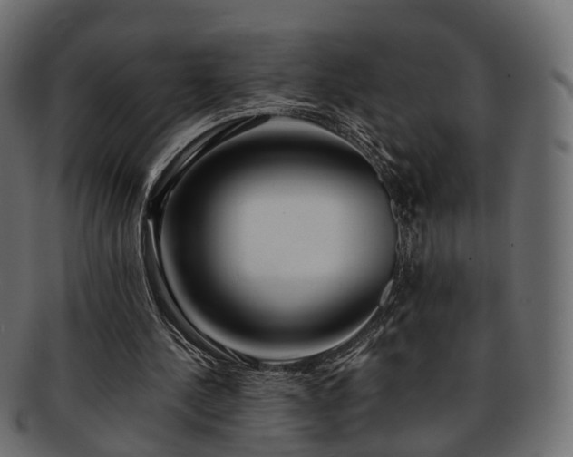 X0000093230244200710031504