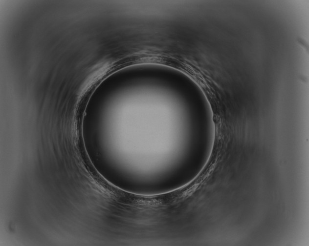 X0000093230245200710031504